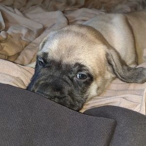 Meet your Posher, Colli